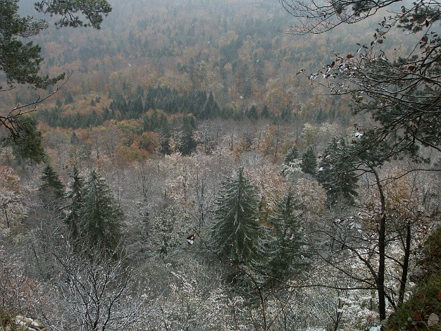 Raichberg 2007 Bild 28